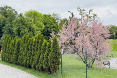 Wieliczka park