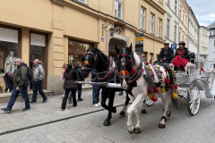 Jalutuskäik  Krakovi linnas