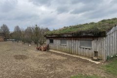 Žitniku talu külastus